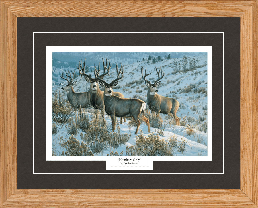Whitetail Buck II Canvas Art Print by Cynthie Fisher